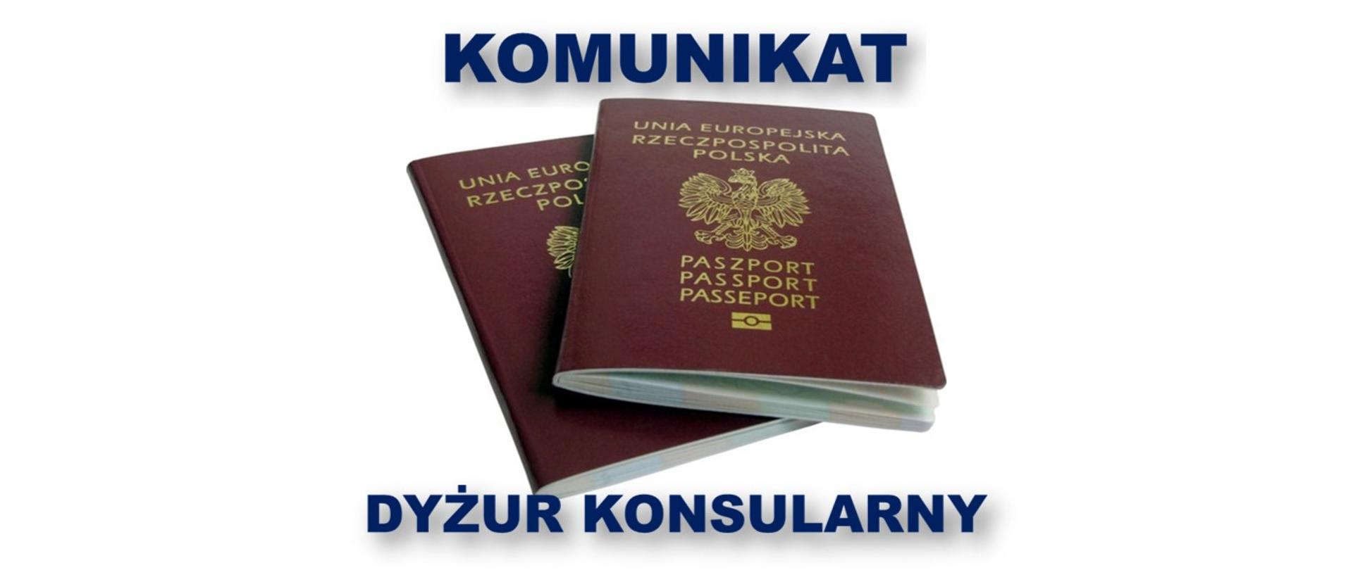 Dyżur Konsularny 2022